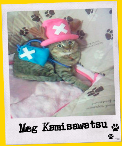 MEG